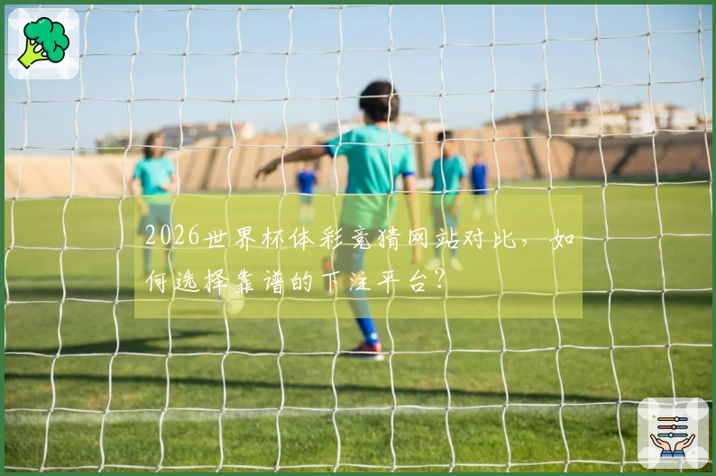 2026世界杯体彩竞猜网站对比，如何选择靠谱的下注平台？