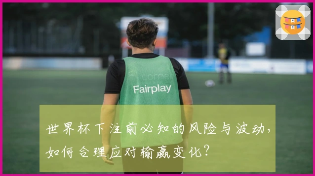 世界杯下注前必知的风险与波动，如何合理应对输赢变化？