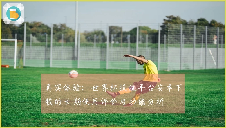 真实体验：世界杯投注平台安卓下载的长期使用评价与功能分析