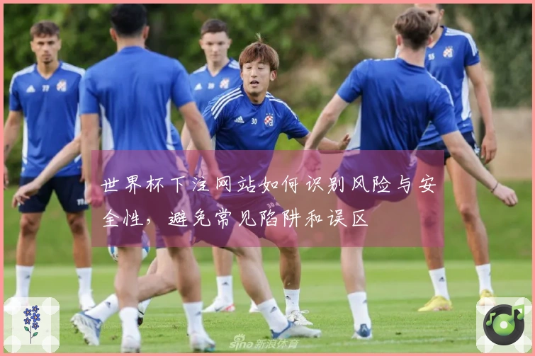 世界杯下注网站如何识别风险与安全性，避免常见陷阱和误区