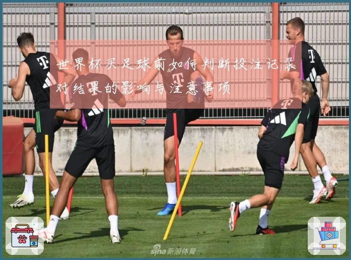 世界杯买足球前如何判断投注记录对结果的影响与注意事项