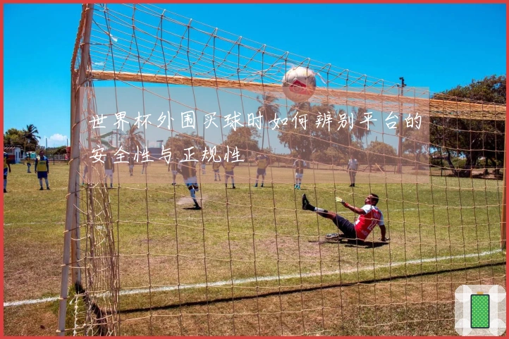 世界杯外围买球时如何辨别平台的安全性与正规性