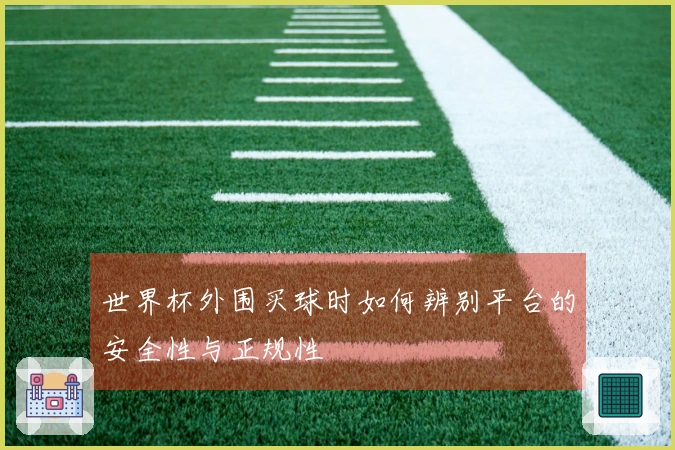 世界杯外围买球时如何辨别平台的安全性与正规性
