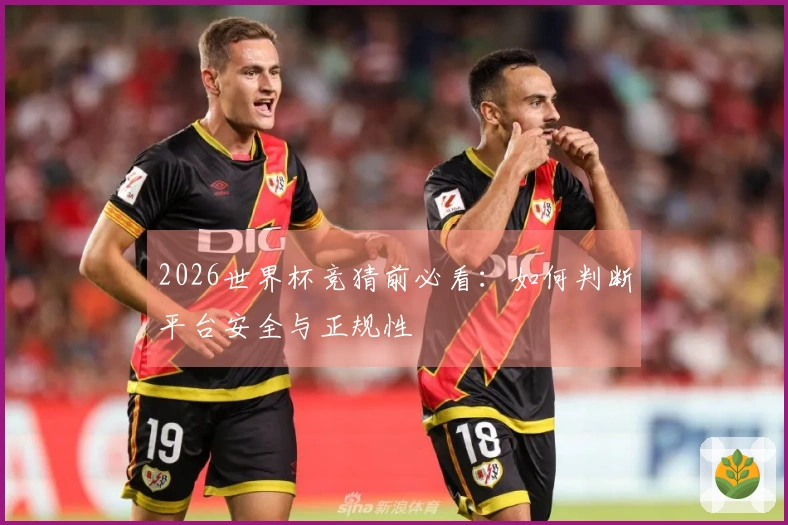 2026世界杯竞猜前必看：如何判断平台安全与正规性