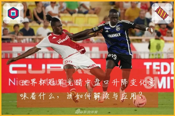 世界杯冠军竞猜中盘口升降变化意味着什么，该如何解读与应用？