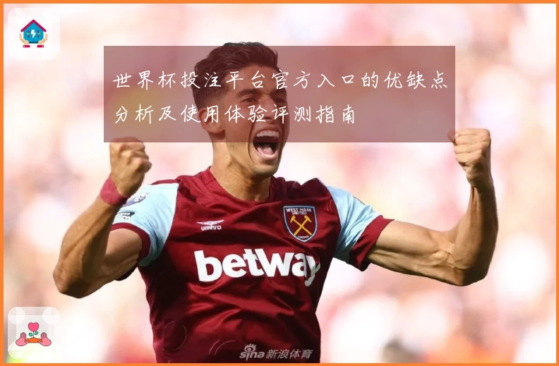 世界杯投注平台官方入口的优缺点分析及使用体验评测指南