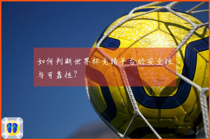 如何判断世界杯竞猜平台的安全性与可靠性？