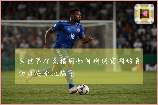 买世界杯竞猜前如何辨别官网的真伪与安全性陷阱