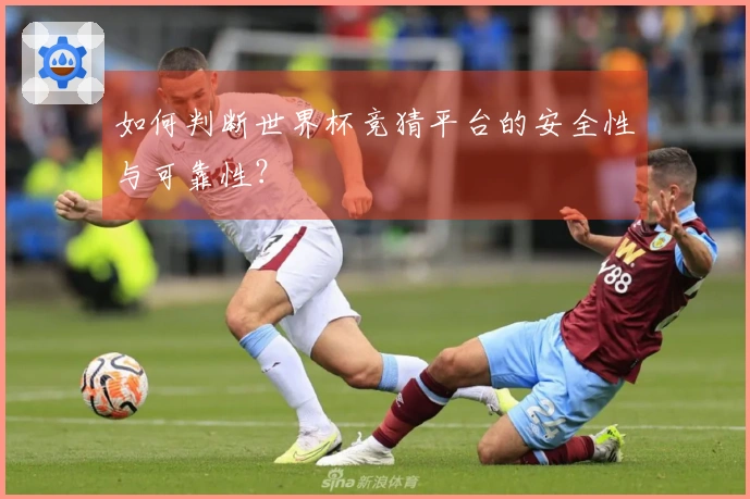 如何判断世界杯竞猜平台的安全性与可靠性？