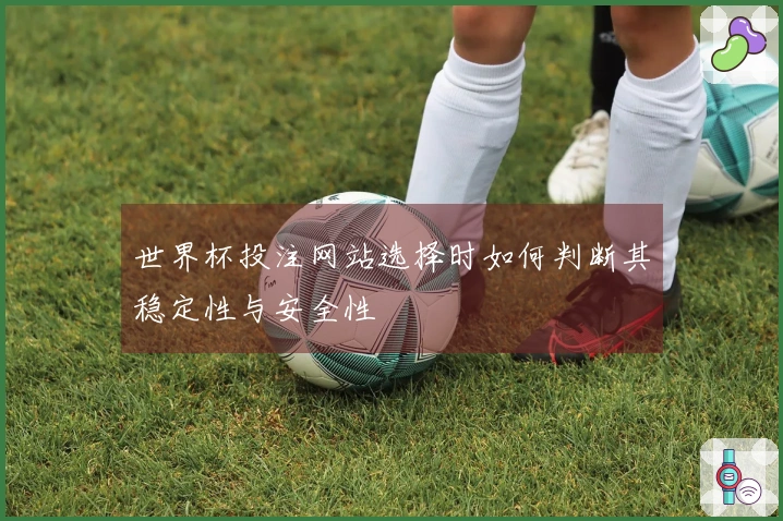 世界杯投注网站选择时如何判断其稳定性与安全性