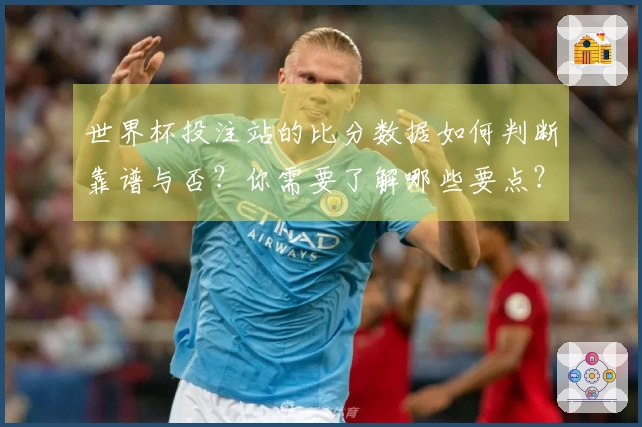 世界杯投注站的比分数据如何判断靠谱与否？你需要了解哪些要点？