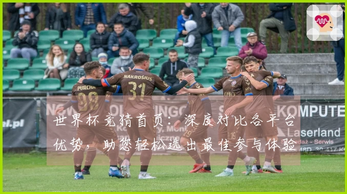 世界杯竞猜首页：深度对比各平台优势，助您轻松选出最佳参与体验