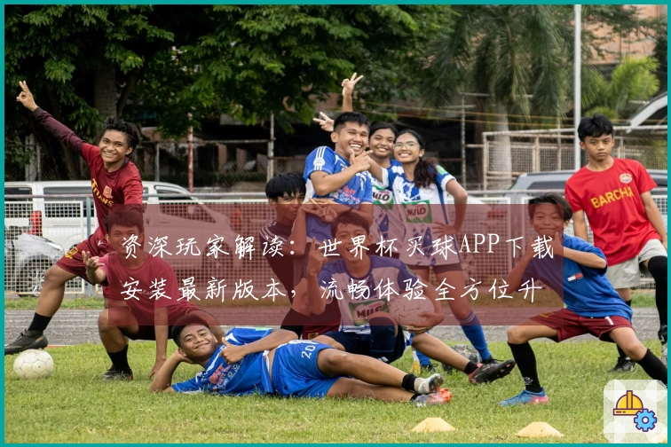 资深玩家解读：世界杯买球APP下载安装最新版本，流畅体验全方位升级