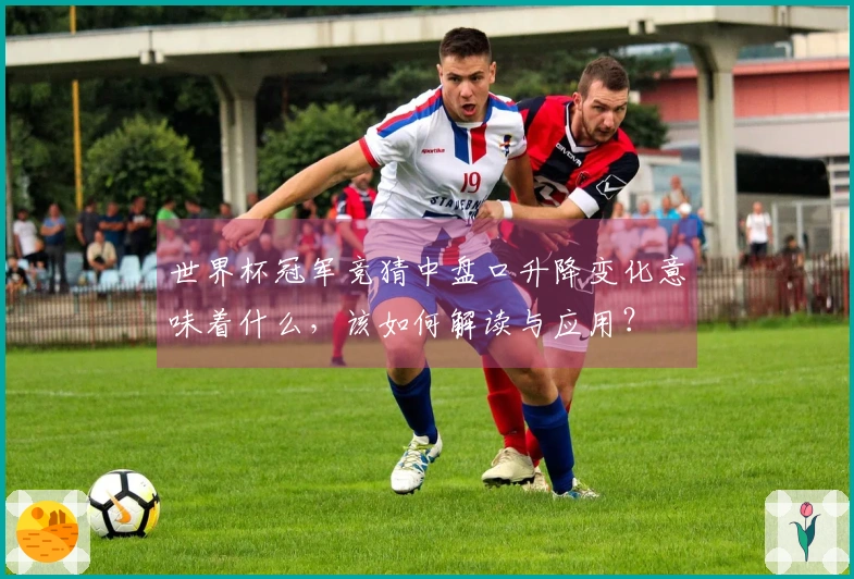 世界杯冠军竞猜中盘口升降变化意味着什么，该如何解读与应用？