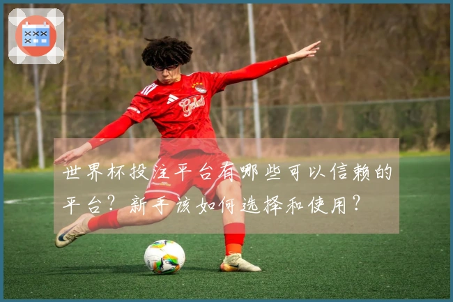世界杯投注平台有哪些可以信赖的平台?新手该如何选择和使用?