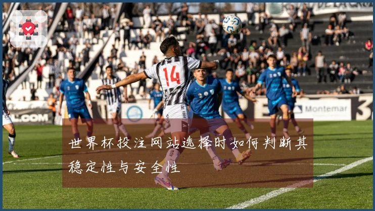 世界杯投注网站选择时如何判断其稳定性与安全性