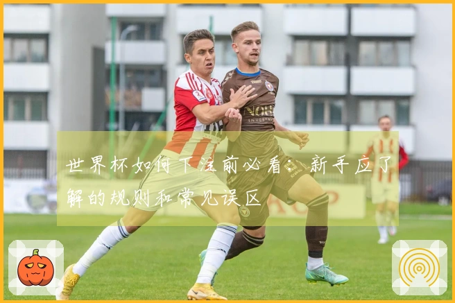 世界杯如何下注前必看：新手应了解的规则和常见误区
