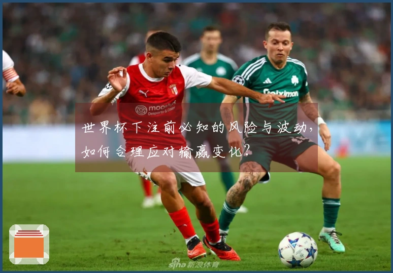 世界杯下注前必知的风险与波动，如何合理应对输赢变化？
