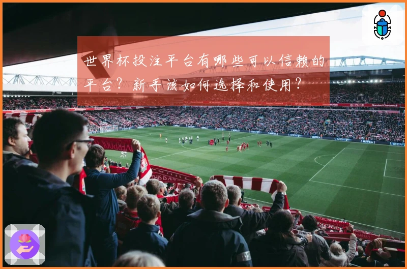 世界杯投注平台有哪些可以信赖的平台？新手该如何选择和使用？