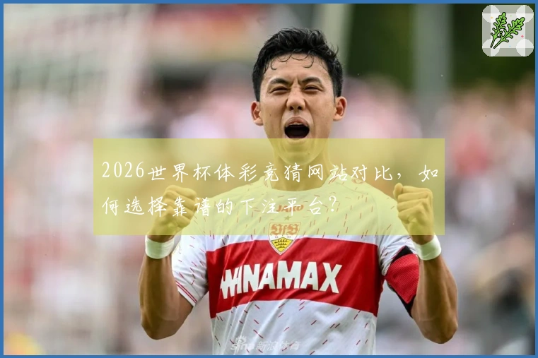 2026世界杯体彩竞猜网站对比，如何选择靠谱的下注平台？