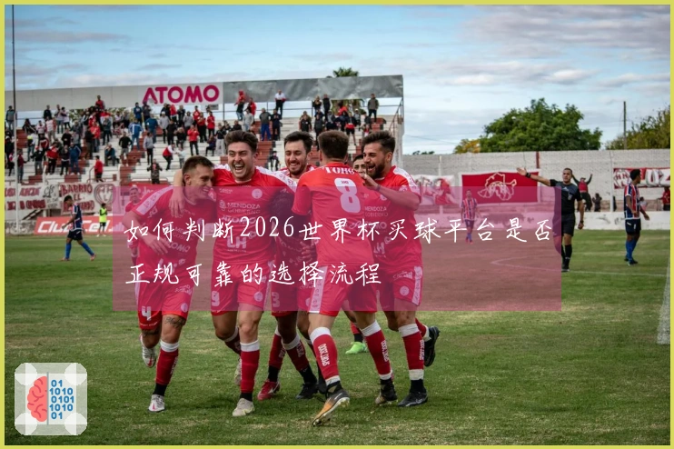 如何判断2026世界杯买球平台是否正规可靠的选择流程